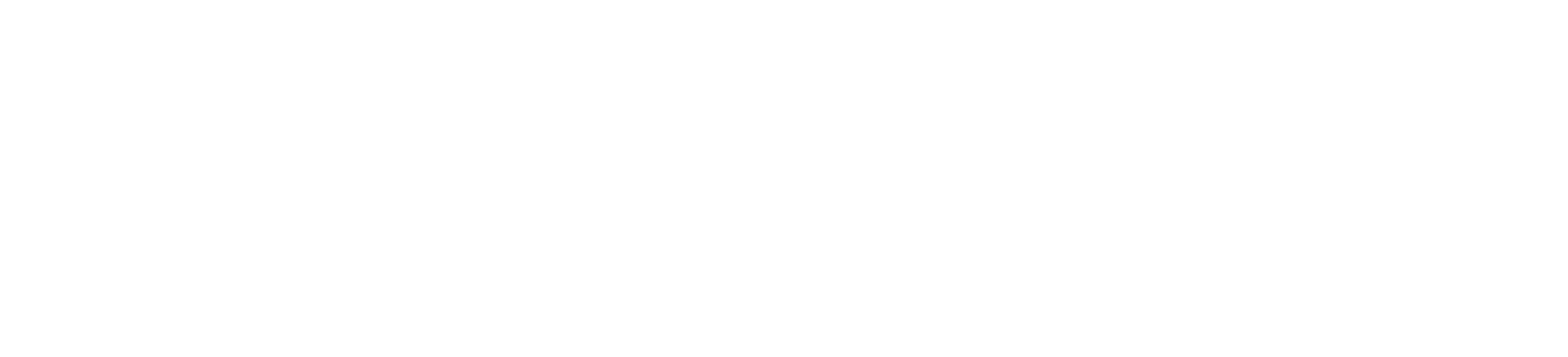 Nmstad Logo